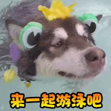 DƬ